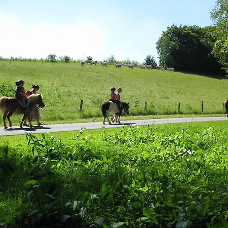 Schade * 埃斯洛黑