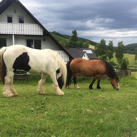 Schade 公寓 埃斯洛黑