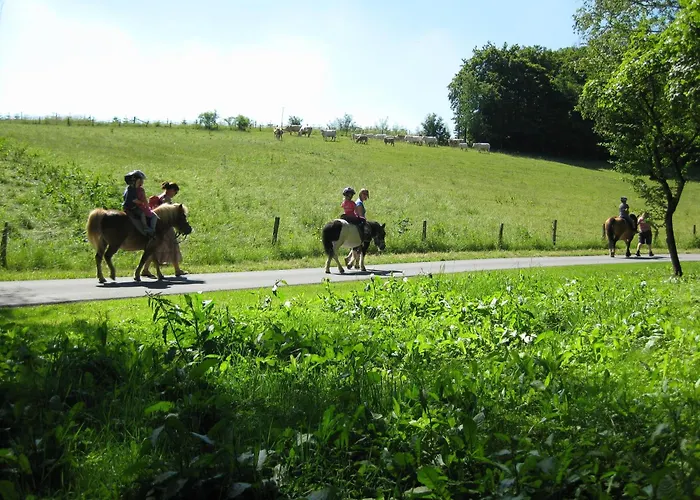 Schade * 埃斯洛黑