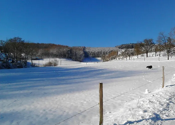 Schade 公寓 埃斯洛黑