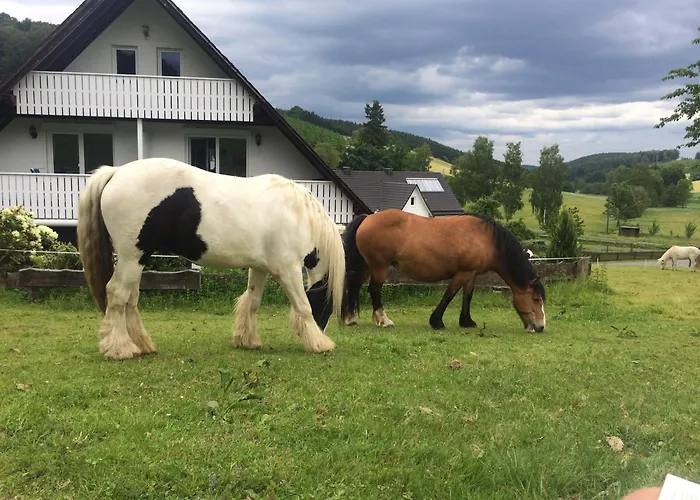 Schade 公寓 埃斯洛黑